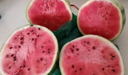 吃瓜爆料的真假如何辨别,真假难辨，如何慧眼识珠？