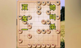 下象棋视频,下象棋视频精彩回顾
